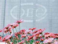 東方電氣成功實施超十億港元配售